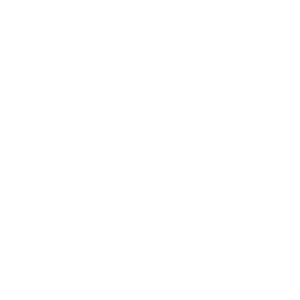icon vision